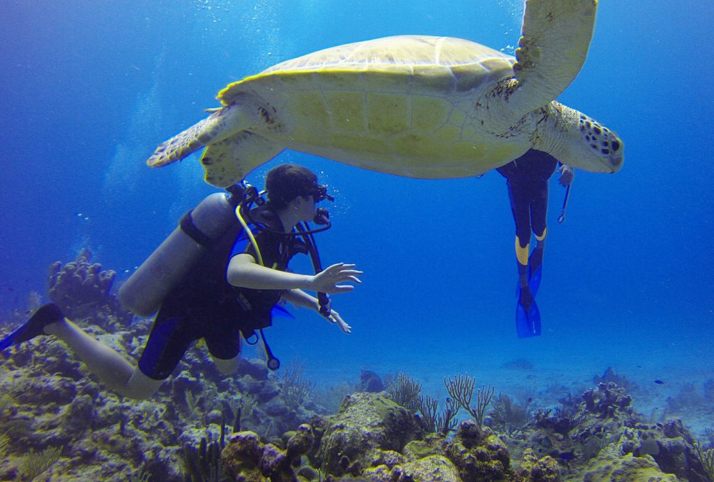 Scuba Diving in Barbados