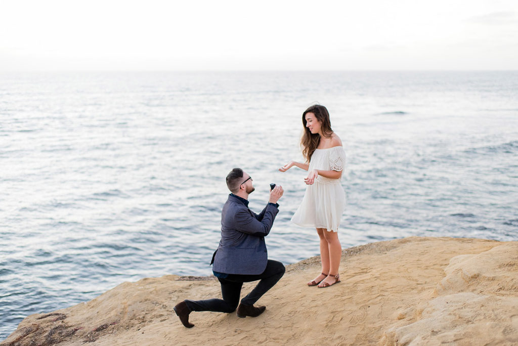 Beach Proposals