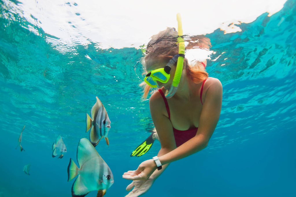 the lone star hotel barbados Swimming with the local fish